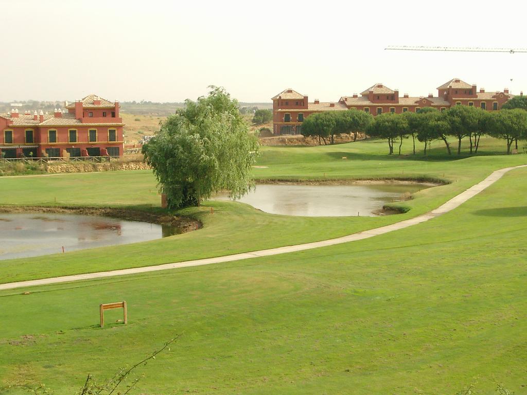 Alcaraván 32